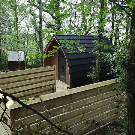 The Pod-Hot Tub-Woodland Lodges-St Clears-Carmarthen Dış mekan fotoğraf
